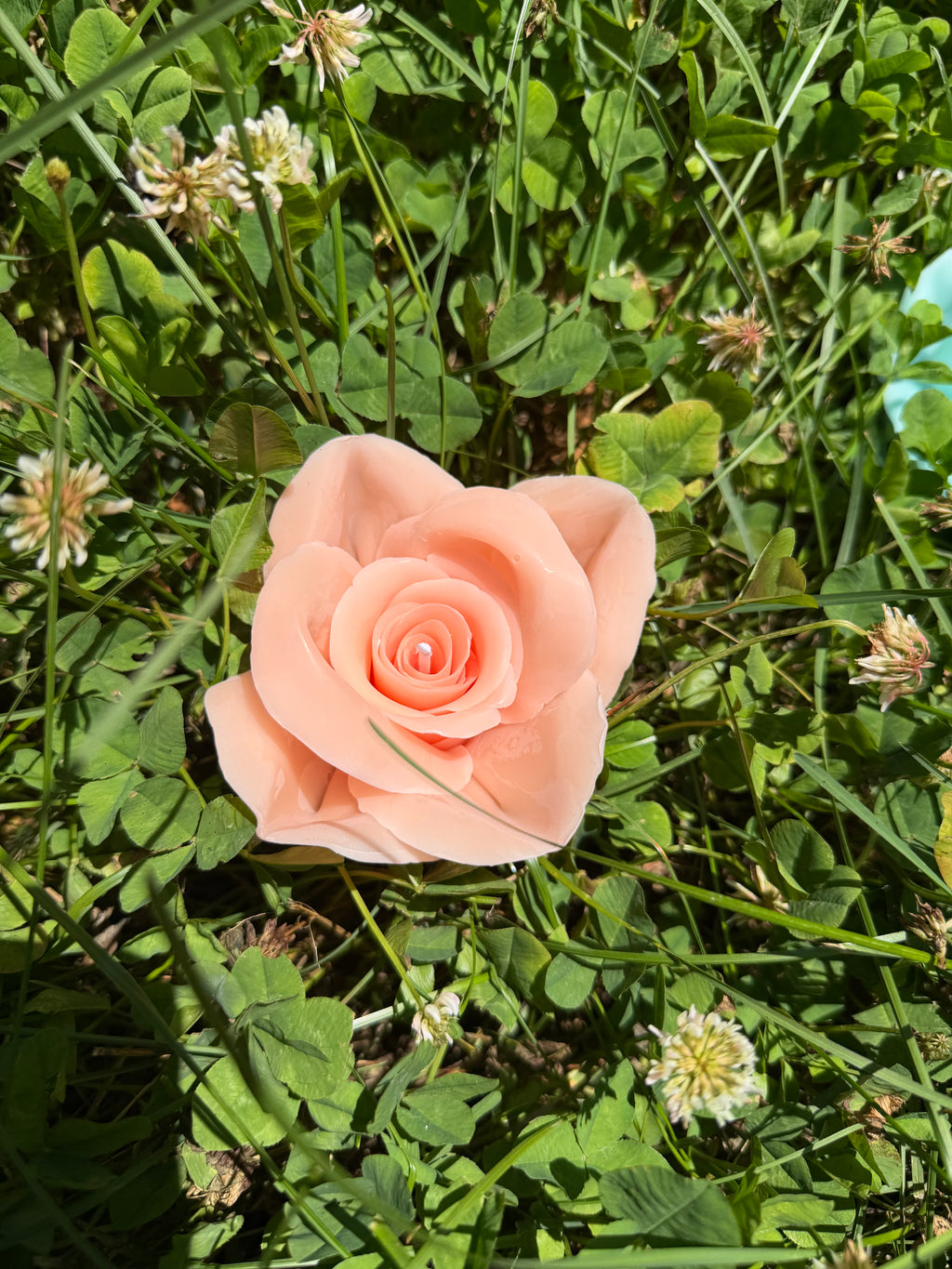 Petite Rose Candle